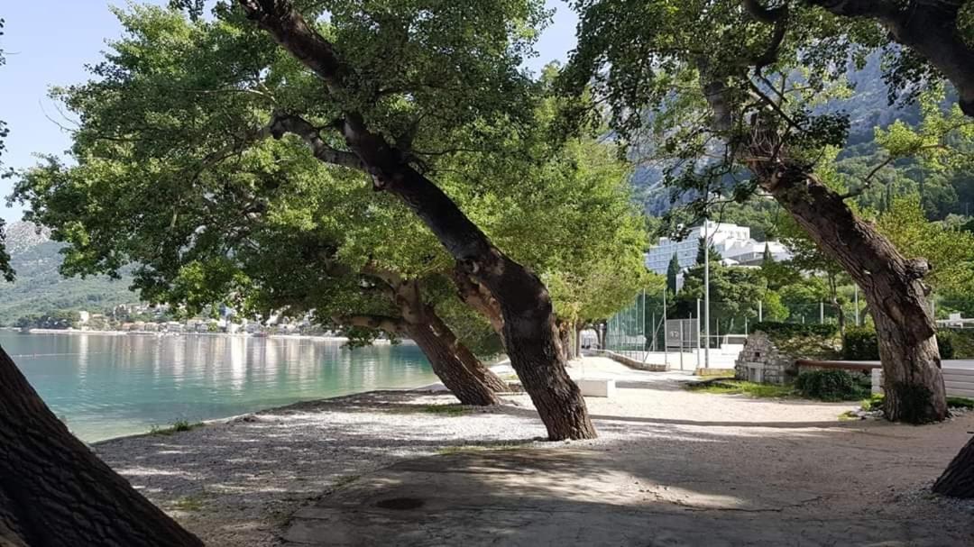 Apartmants Villa Lungo Mare Zivogosce Exterior photo
